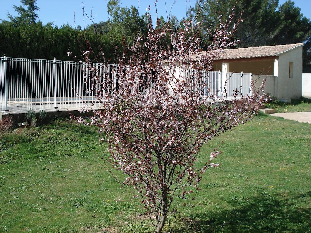 B&B L'Oustalet De Sylvie Villeneuve-lès-Avignon Eksteriør billede